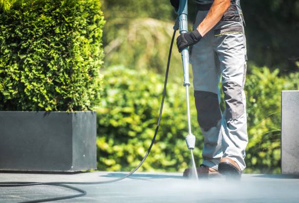 Best Driveway Pressure Washing  in Bloomfield, IN
